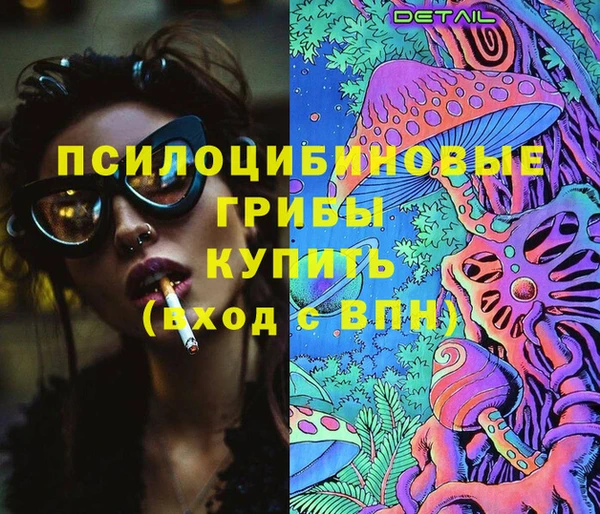 PSILOCYBIN Балахна